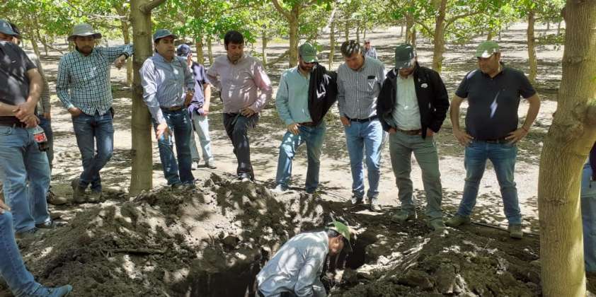 Cuidar el agua, minimizar el consumo y procurar su ahorro
