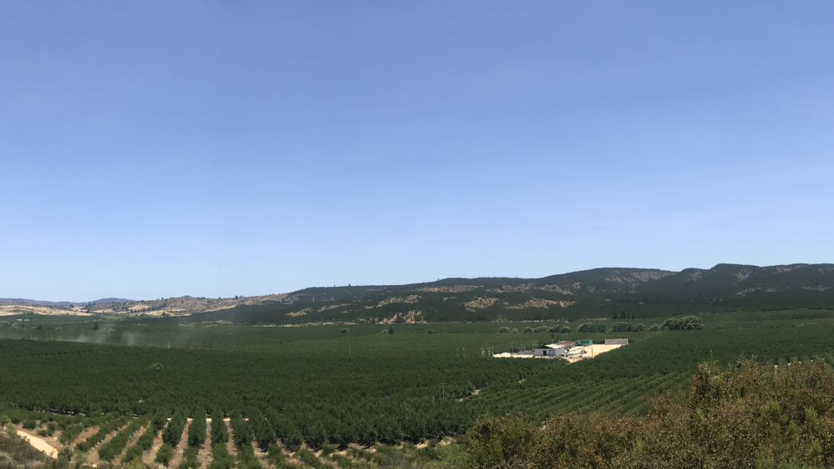 Campo Ranguili y sus nuevos proyectos
